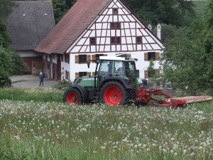 Erster Schnitt mähen vor Hof