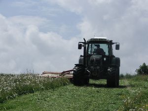 Erster Schnitt mähen mit neuem Fendt