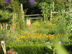 Sommerpracht im Garten