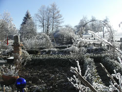 Garten im Winter