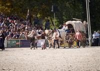 Unser Ochsengespann bei der Hengstparade in Marbach 2017