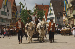 Beim Biberacher Schützenfest