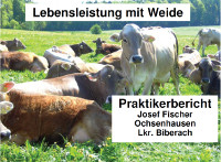 Bild Vortrag Lebensleistung mit Weide