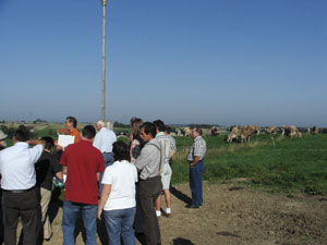 Weidetag 2006 Besucher auf der Weide