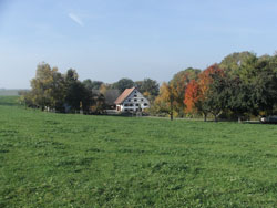 Wolfeshof im Herbst